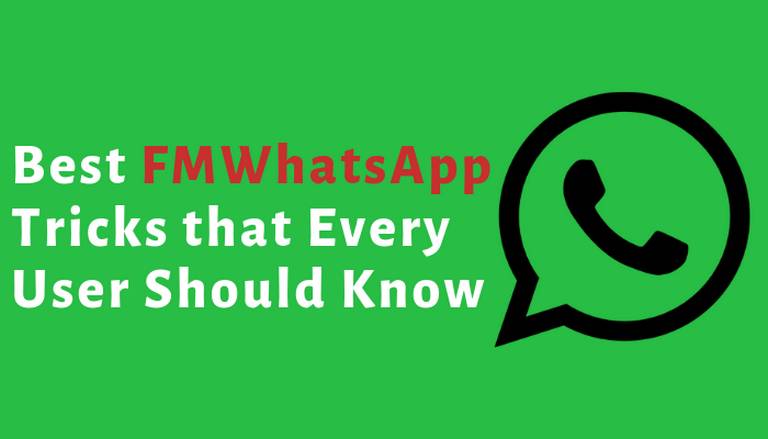 Best FMWhatsApp Tricks