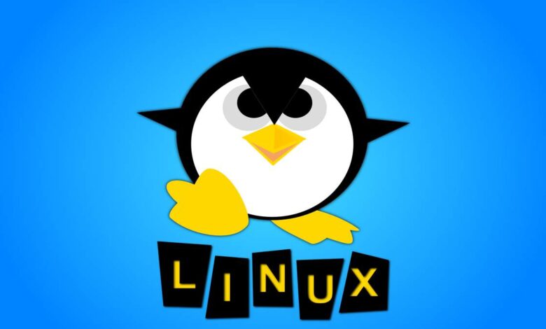 Which Linux VPS server log files you should monitor