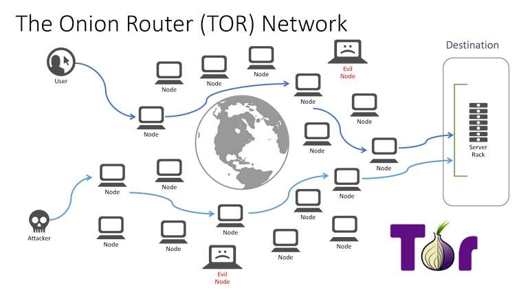 is tor safe in open network