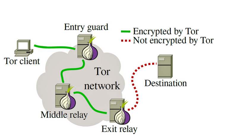 Tor Network Structure