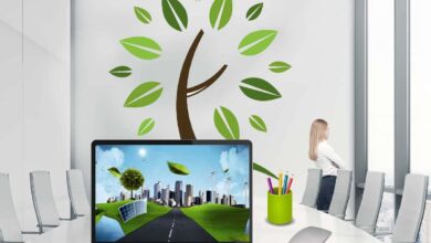 11 Best Sustainable Entrepreneurship Ideas