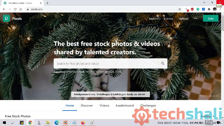 Pexels free stock photos