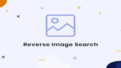 Photo of 10 Best Reverse Image Search Tool [2024 Updated]