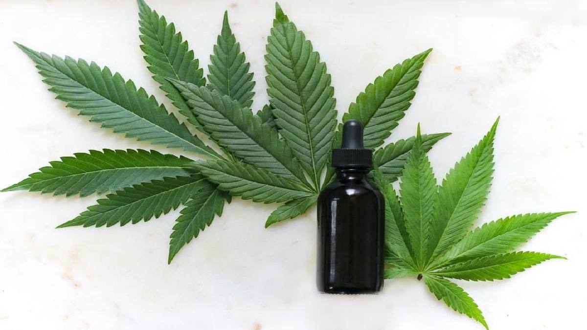 A Look at the Cannabis and CBD Industries