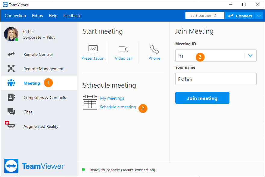 TeamViewer meeting settings