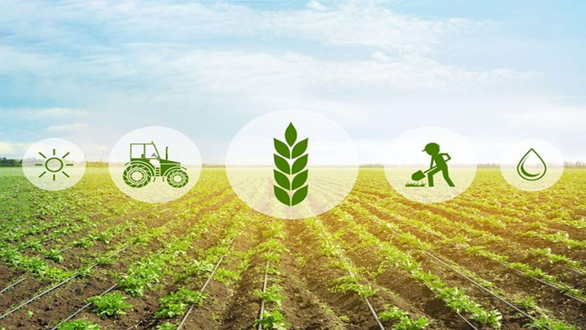 Sustainable Crop Management Basics