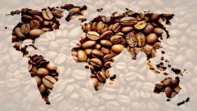 Photo of An Interesting World of Coffee