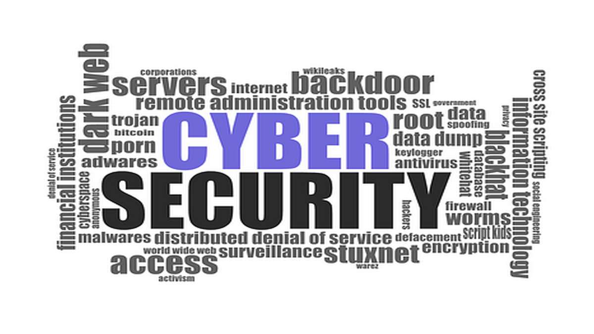 Understanding the Responsibilities of a Cyber Security Specialist
