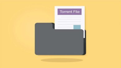 Photo of Distribute Large Files with Torrenting