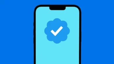 Photo of TWITTER BLUE Is FOR YOU If You NEED These 6 Things