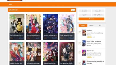 Photo of Is WcoStream Legit to Watch Anime? Or a Scam?