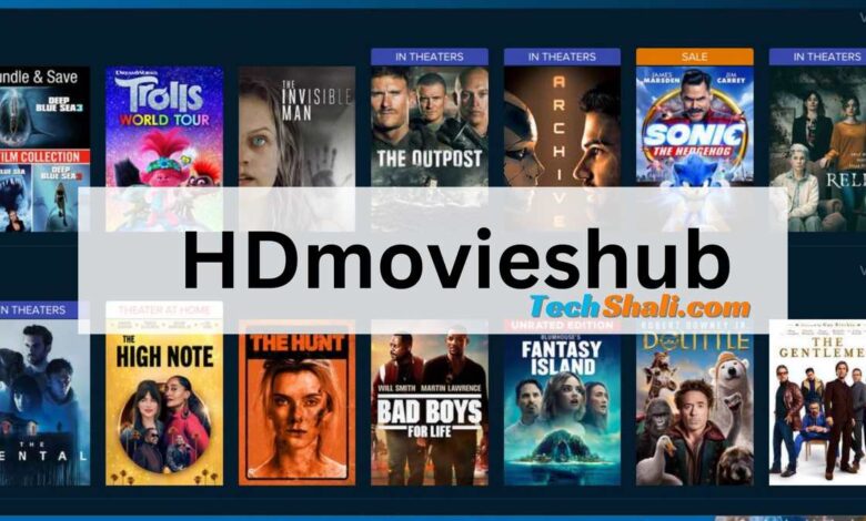 HDmovieshub What is it and best Alternatives