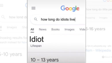 Photo of The Funny “How long do idiots live” meme: Origin and Meaning