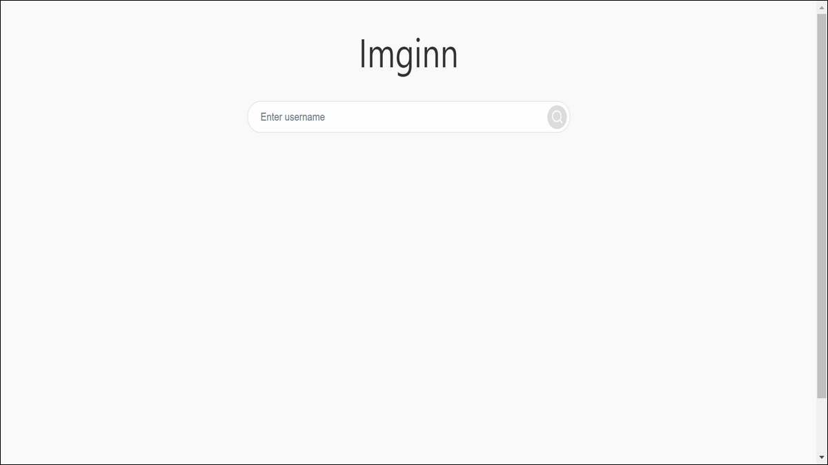 Imginn website