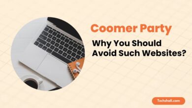 Photo of Coomer Party — Why You Should Avoid Such Websites?