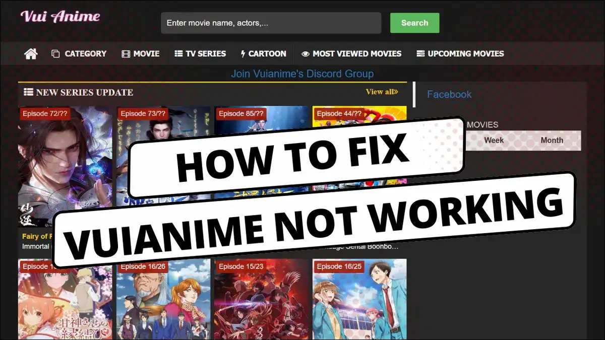 Learn How to Fix VuiAnime Not Working