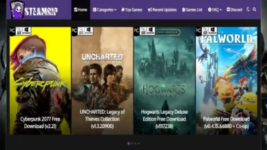 STEAMRIP: Pirated Games and Their Industry Impact