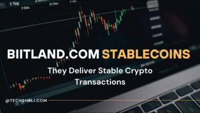 Photo of How Biitland.com Stablecoins Deliver Stable Crypto Transactions