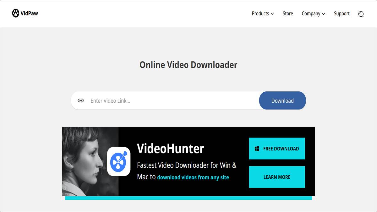 Online Video Downloader VidPaw