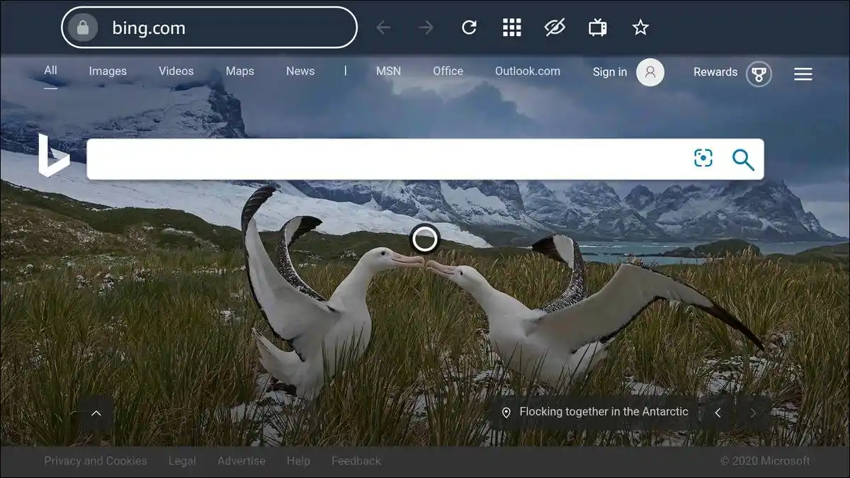 Amazon Slik Borwser Working on Firestick