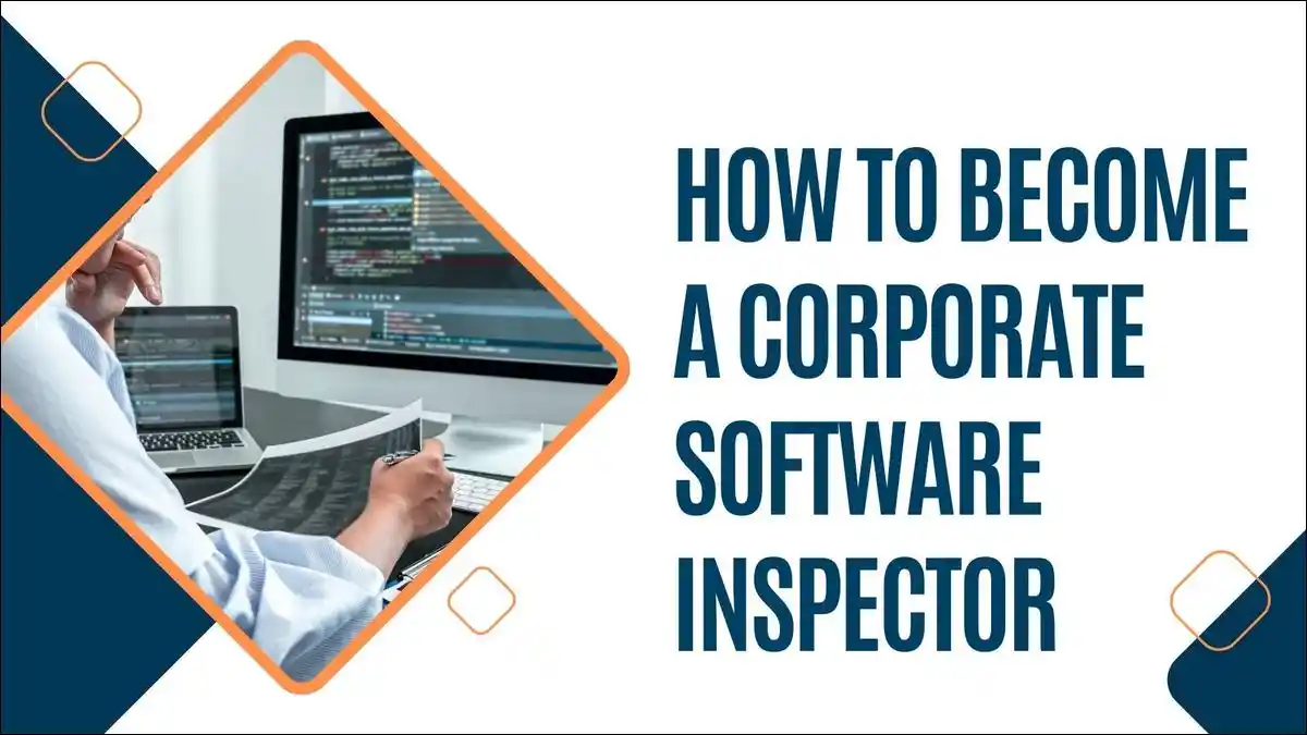 How to Become a Corporate Software Inspector