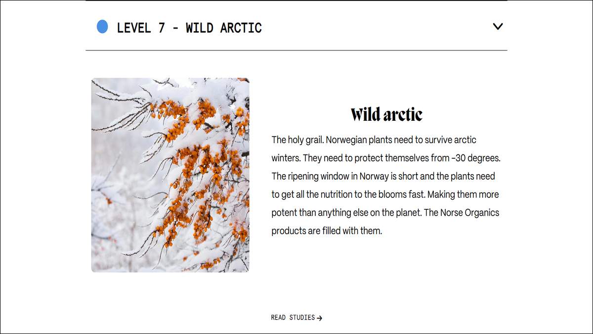 Norse Organics uses Wild arctic as their main skincare ingredients