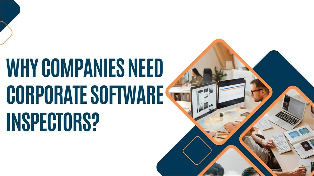 Why Companies Need Them