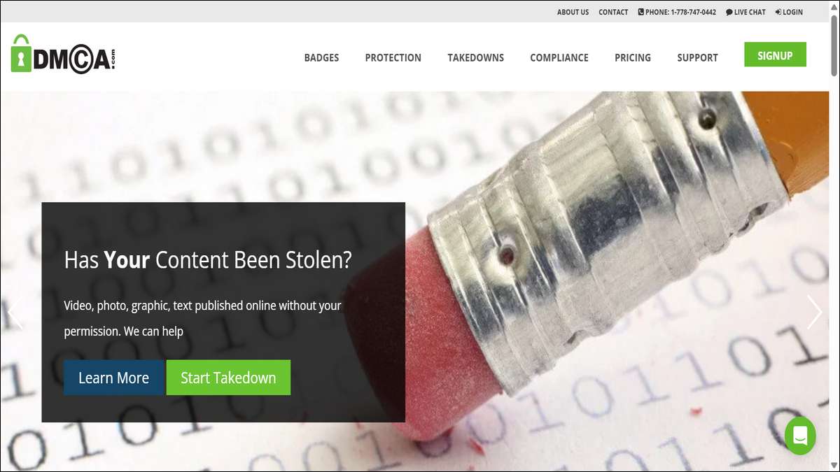DMCA Official Website