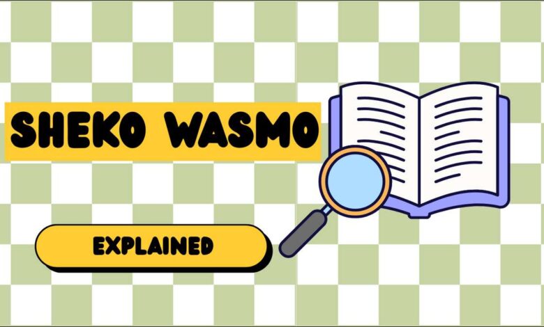 In Somali, "Sheeko" means story, and "Wasmo" often points to personal or intimate moments.