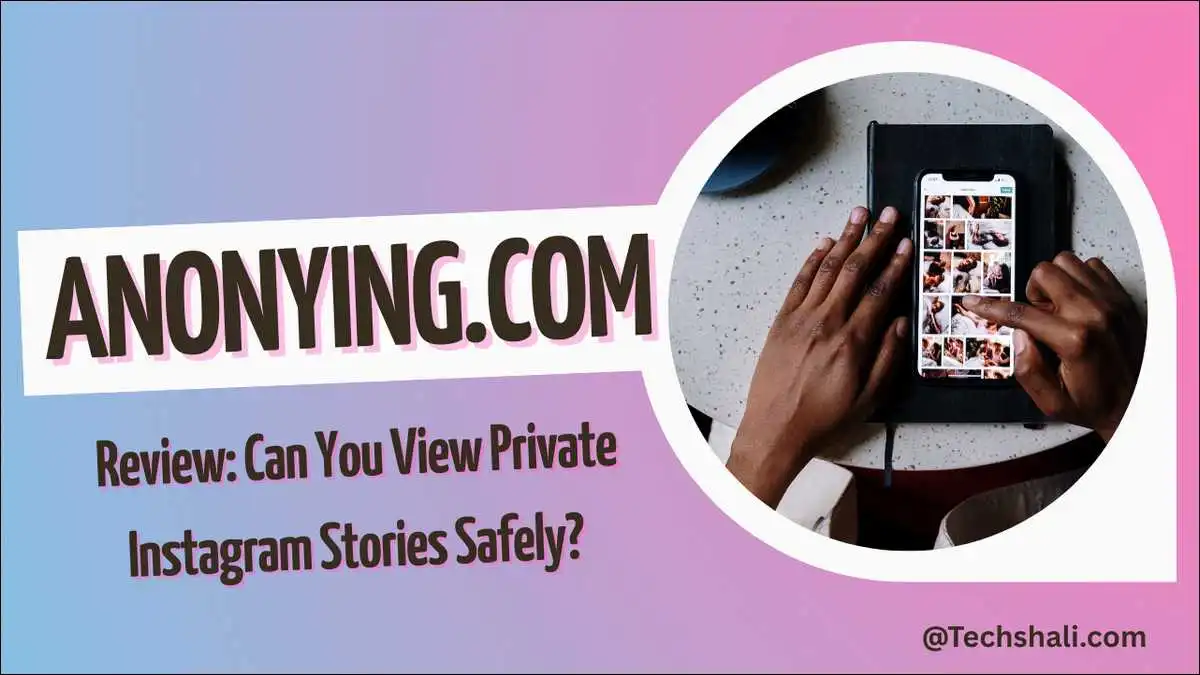 Anonying.com Review: Can You View Private Instagram Stories Safely?