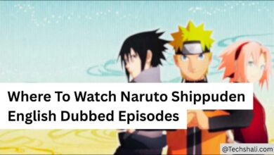 Here Top Place To Watch Naruto Shippuden English Dubbed Episodes Online