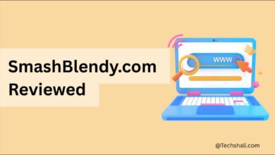 SmashBlendy.com Reviewed — Multi-Niche Blog Explained