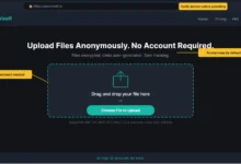 AnonVault 2026 Review: Security Analysis & Safety Verdict