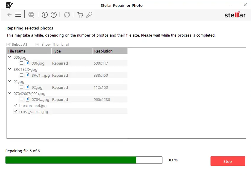 Stellar Repair for Photo Review 3