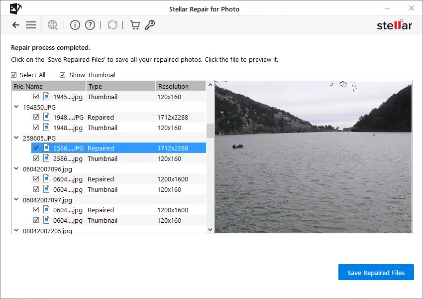 Stellar Repair for Photo Review 4