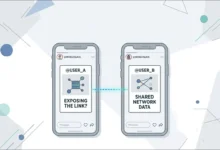 AnonyIG and StoriesIG share the same advertising account, identical block pages, and hosting. Here's the full investigation.