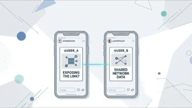 AnonyIG and StoriesIG share the same advertising account, identical block pages, and hosting. Here's the full investigation.