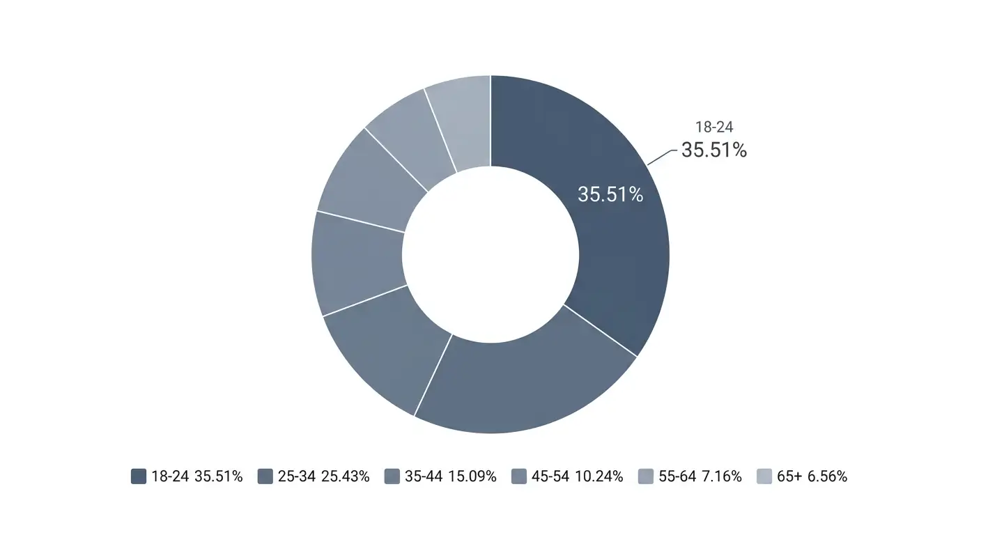 Donut chart showing Nastia AI audience ages, with 35.51 percent aged 18 to 24.