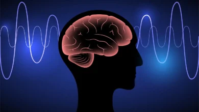 Myndlift at-home EEG neurofeedback system for personalised brain training in India